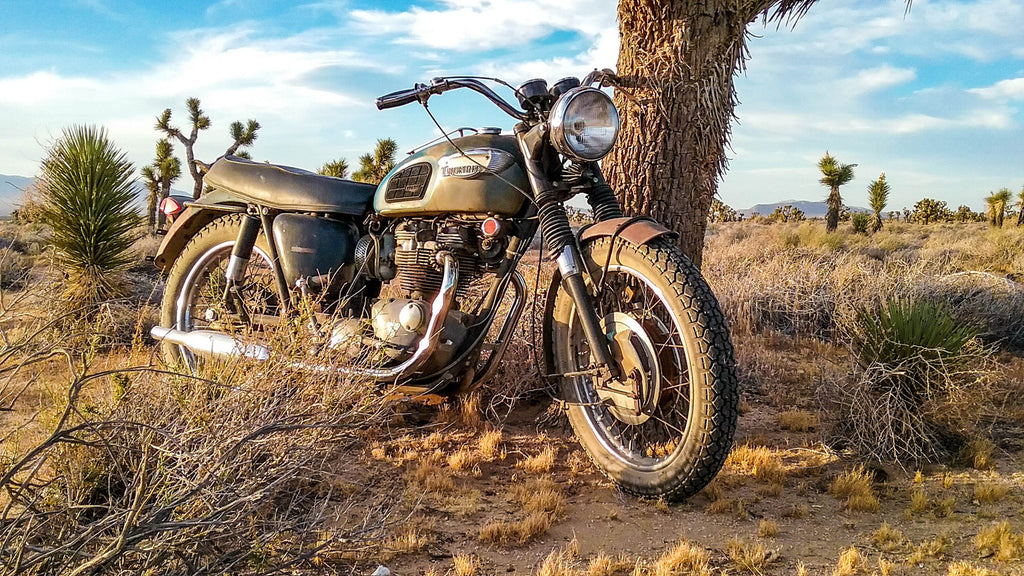 Uncovering An Original 1968 Triumph Tiger TR6R Motorcycle