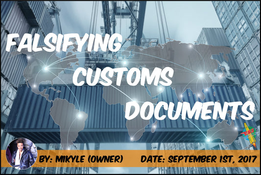 Cover Image For Falsifying Customs Documents Blog