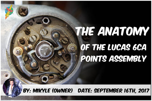 Lucas 6CA Anatomy Blog Banner