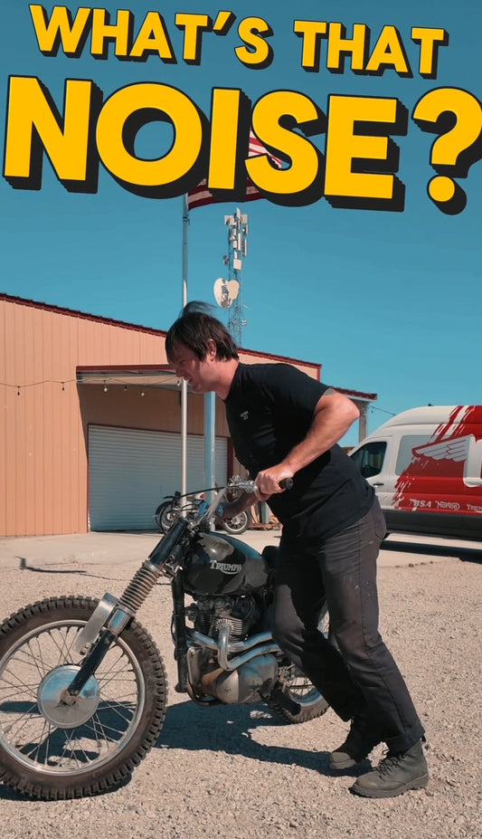 What's That Noise?