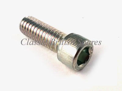 Screw 5/16" X 18 X 7/8"