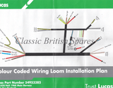 BSA Genuine Lucas Cloth Bound Wiring Harness 54953385 19-0947 1968 A50 A65