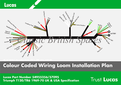 Triumph T100 / T120 Genuine Lucas Wiring Harness - 54957095 - 1969-70