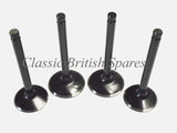 BSA A65 Black Diamond Valves