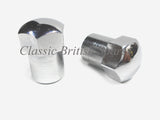 Triumph / BSA Headlight Mounting Bracket Dome Nuts (2) - 21-2062 - 1971-72 - T120 / A65