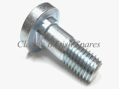 Triumph Stepped Chainguard To Swingarm Bolt - Choose Thread Pitch