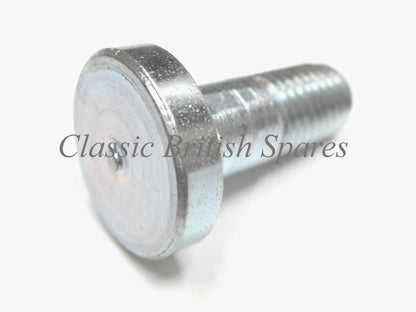 Triumph Stepped Chainguard To Swingarm Bolt - Choose Thread Pitch