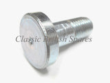 Triumph Stepped Chainguard To Swingarm Bolt - Choose Thread Pitch