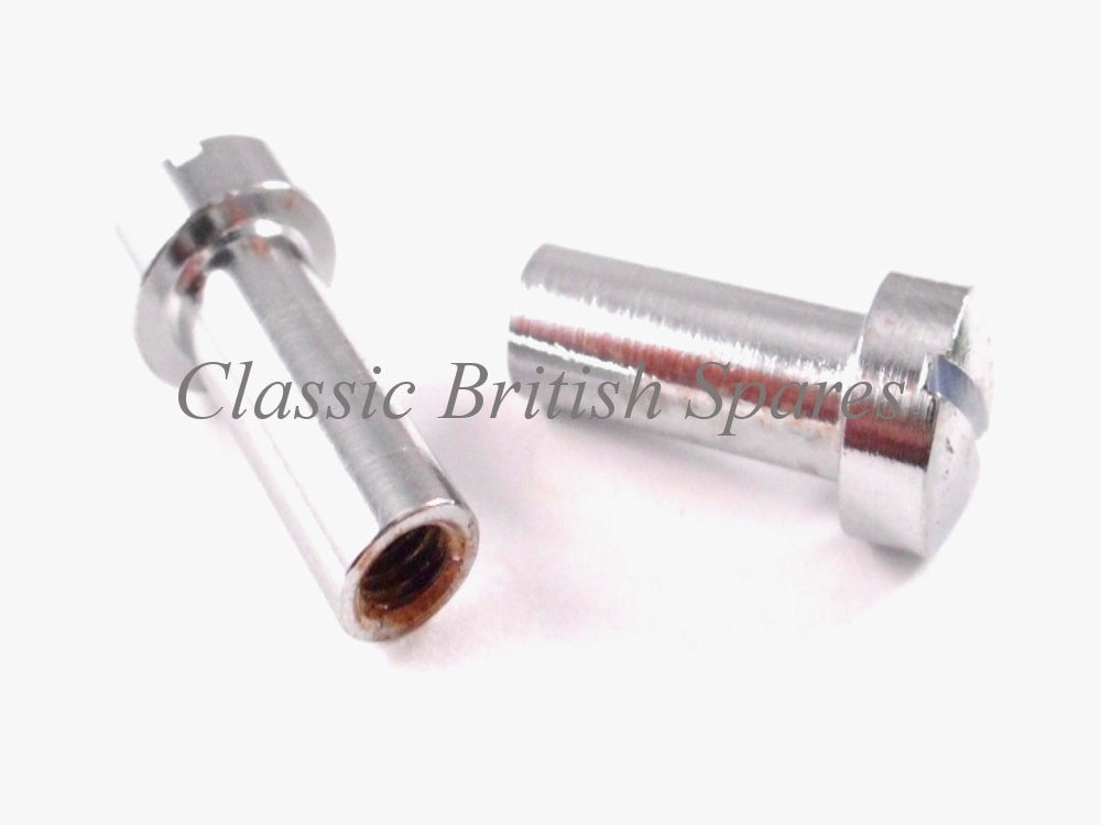 Tail Light Chrome Screws 575219