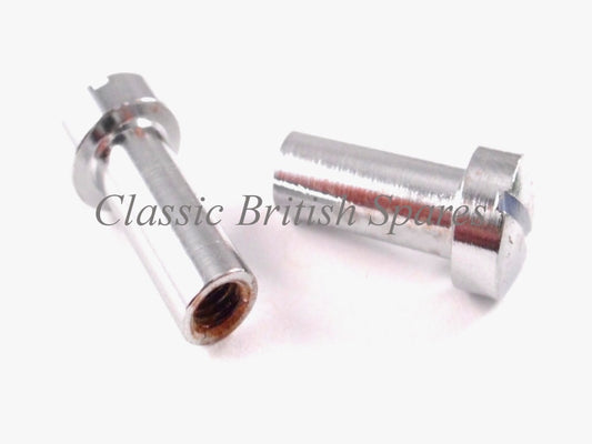 Tail Light Chrome Screws 575219